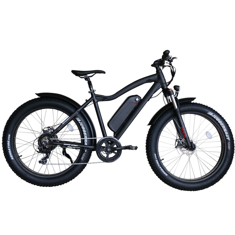 Hot Sales Big Power 750W Fat Tire Electric Bike 26