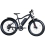 Hot Sales Big Power 750W Fat Tire Electric Bike 26