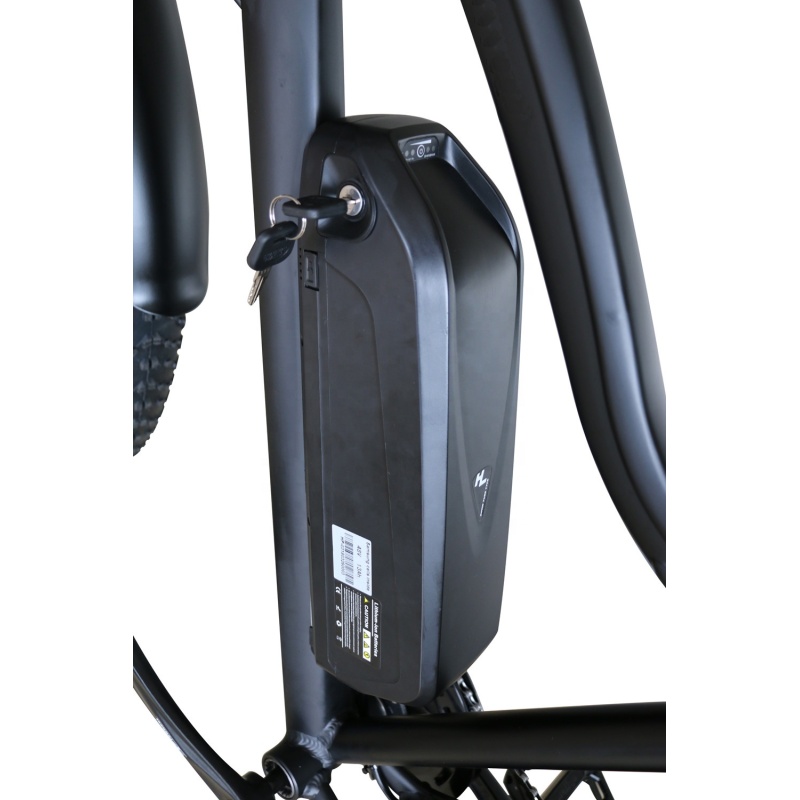 Hot Sales Big Power 750W Fat Tire Electric Bike 26