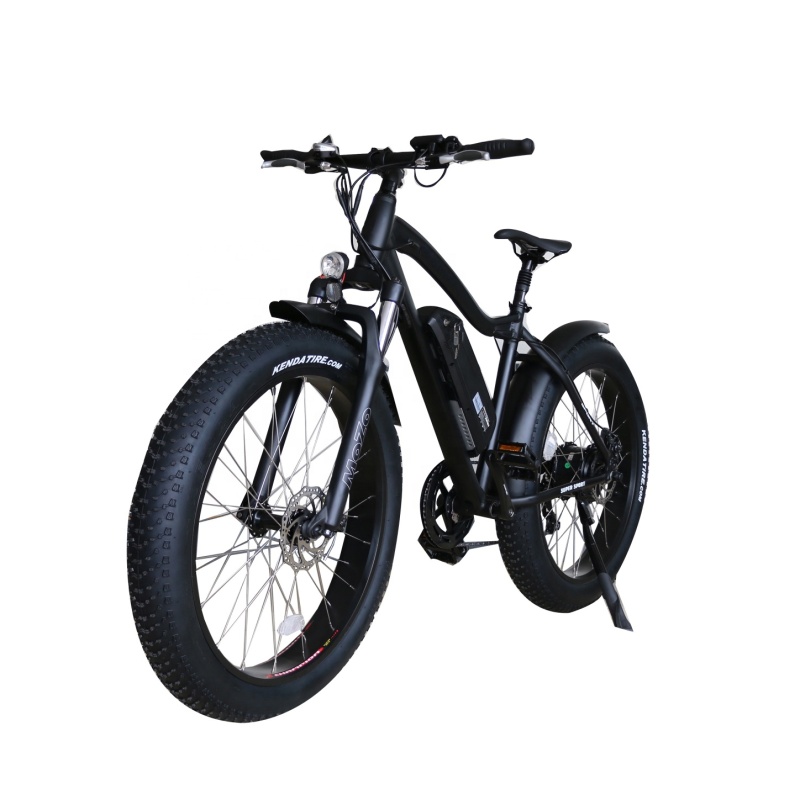 Hot Sales Big Power 750W Fat Tire Electric Bike 26