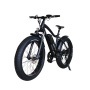 Hot Sales Big Power 750W Fat Tire Electric Bike 26