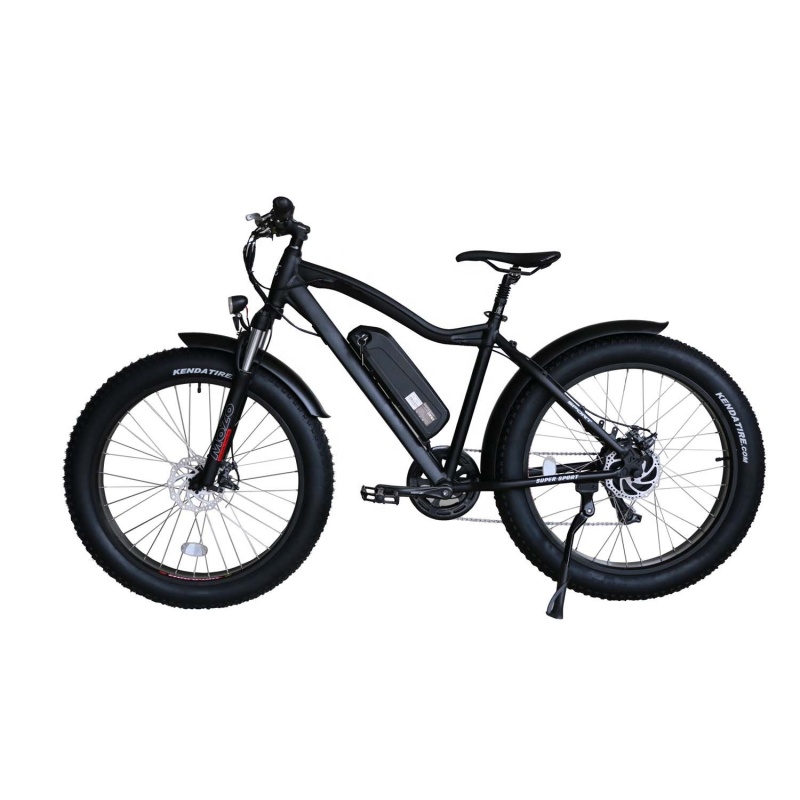 Hot Sales Big Power 750W Fat Tire Electric Bike 26
