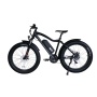 Hot Sales Big Power 750W Fat Tire Electric Bike 26
