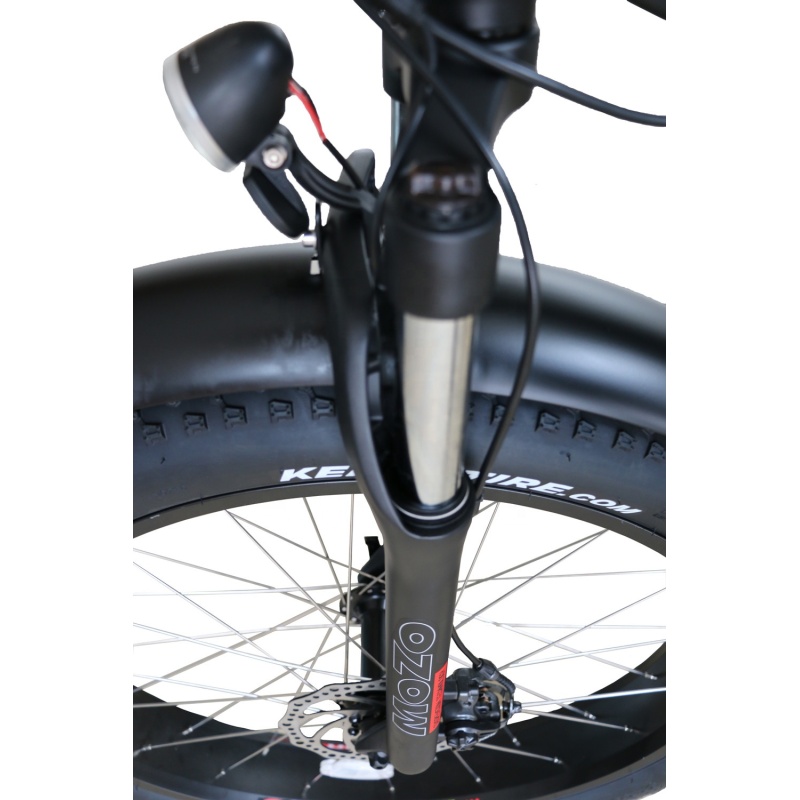 Hot Sales Big Power 750W Fat Tire Electric Bike 26