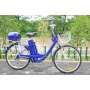 classic 36v 250w china cheap electric bike lead acid battery bicycle electric from China for sale