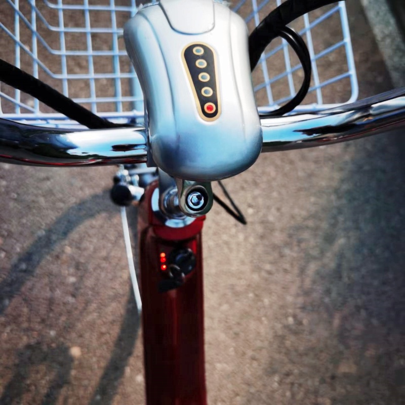 classic 36v 250w china cheap electric bike lead acid battery bicycle electric from China for sale