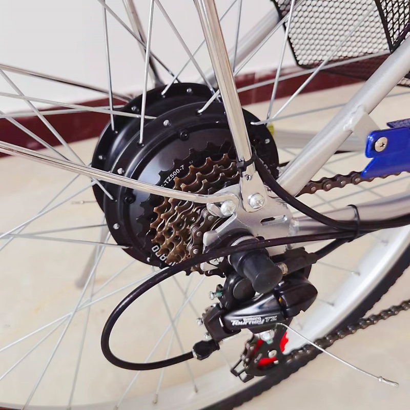 classic 36v 250w china cheap electric bike lead acid battery bicycle electric from China for sale