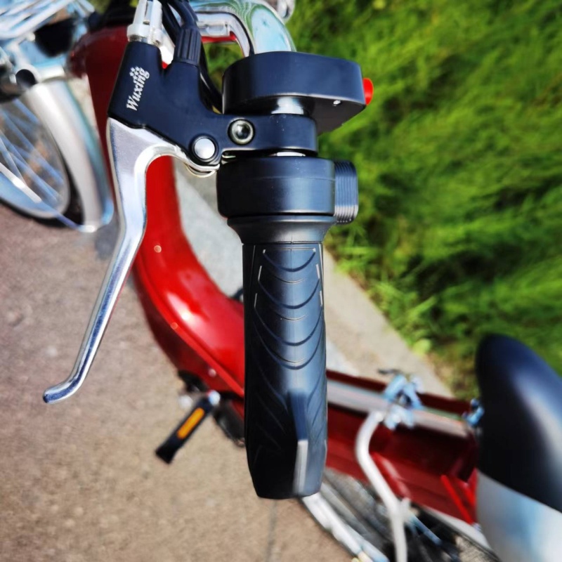 classic 36v 250w china cheap electric bike lead acid battery bicycle electric from China for sale