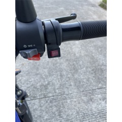 Long Range 48V 350W Electric Scooter Bike Pedal Assist Escooter With 3 Speed Regulator Front Basket Delivery El Scooter