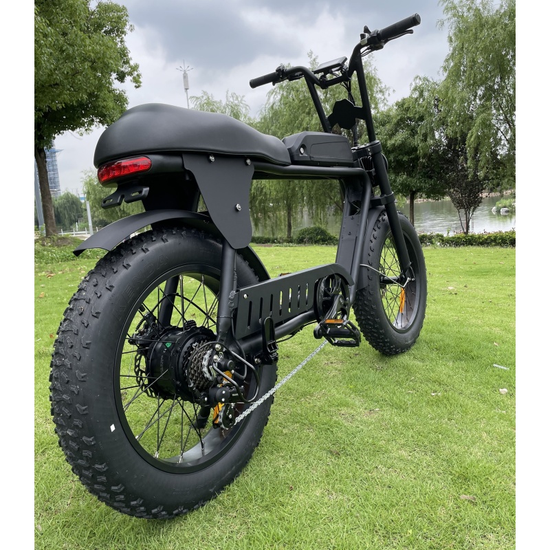 Patent Design Electric Superbike Retro Bike 2 Seat Electric Fat Tire Bike  48V 500W 750W 1000W Optional