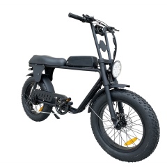 Patent Design Elektrisches Superbike Retro Fahrrad 2 Sitz Elektrisches Fat Tire Fahrrad 48V 500W 750W 1000W Optional