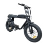 Patent Design Electric Superbike Retro Bike 2 Seat Electric Fat Tire Bike  48V 500W 750W 1000W Optional