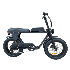 Patent Design Elektrisches Superbike Retro Fahrrad 2 Sitz Elektrisches Fat Tire Fahrrad 48V 500W 750W 1000W Optional