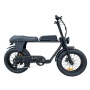 Patent Design Electric Superbike Retro Bike 2 Seat Electric Fat Tire Bike  48V 500W 750W 1000W Optional
