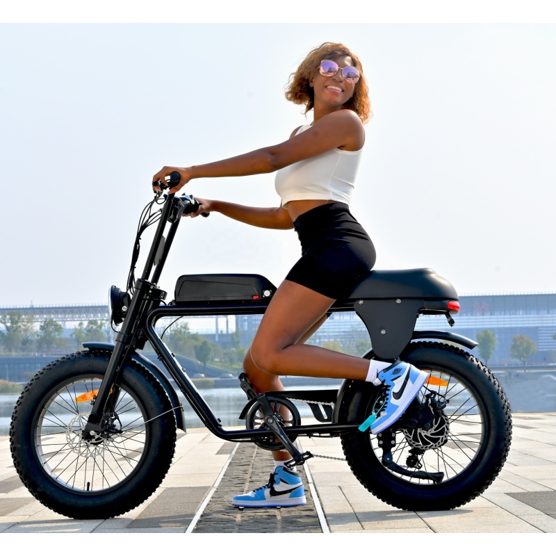 Patent Design Electric Superbike Retro Bike 2 Seat Electric Fat Tire Bike  48V 500W 750W 1000W Optional
