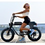 Patent Design Electric Superbike Retro Bike 2 Seat Electric Fat Tire Bike  48V 500W 750W 1000W Optional