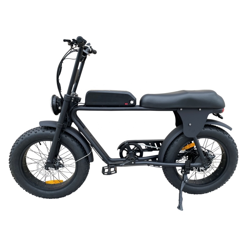 Patent Design Electric Superbike Retro Bike 2 Seat Electric Fat Tire Bike  48V 500W 750W 1000W Optional