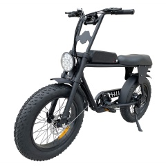 Patent Design Elektrisches Superbike Retro Fahrrad 2 Sitz Elektrisches Fat Tire Fahrrad 48V 500W 750W 1000W Optional