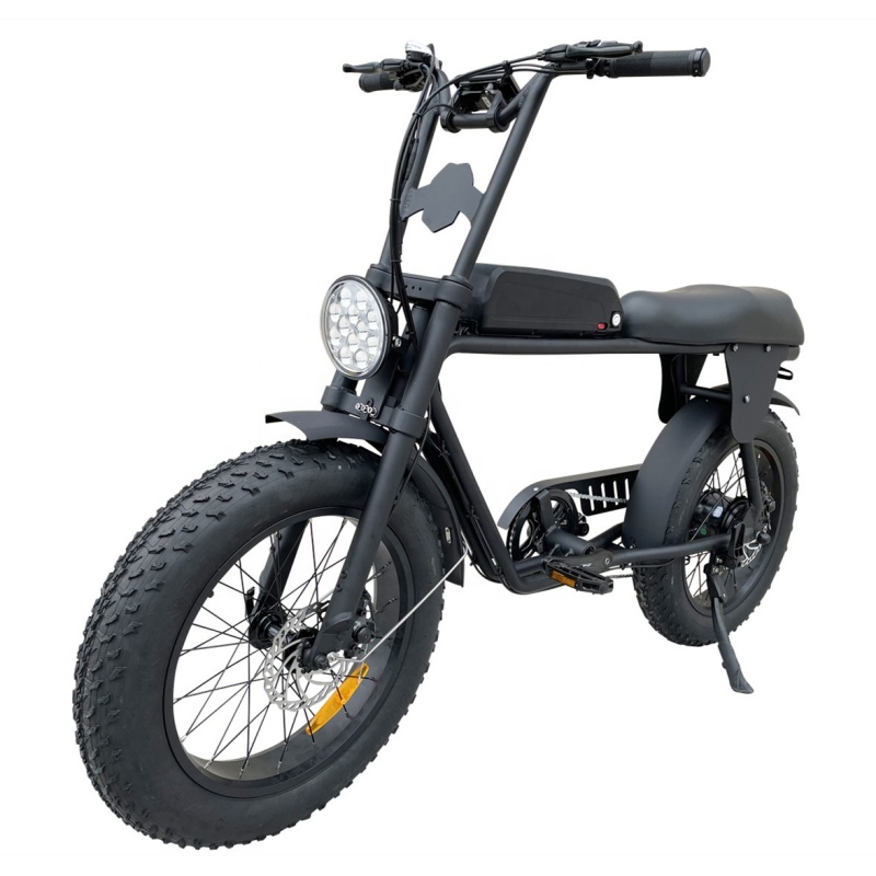 Patent Design Electric Superbike Retro Bike 2 Seat Electric Fat Tire Bike  48V 500W 750W 1000W Optional