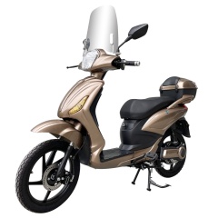 Italy Best Selling Electric Scooter 500W 48V CE Pedal Assist Adult Electric Motorcycle With MP3 Player Bluetooth Music Speaker