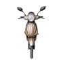 Italy Best Selling Electric Scooter 500W 48V CE Pedal Assist Adult Electric Motorcycle With MP3 Player Bluetooth Music Speaker