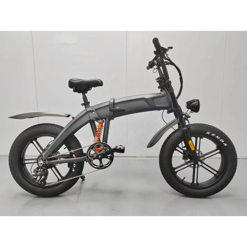 OEM 750W 1000W High Capacity Lithium ion Battery Electric Bicycle 20x4.0 Fat Tire Ebike Full Suspension E Dirt Bike