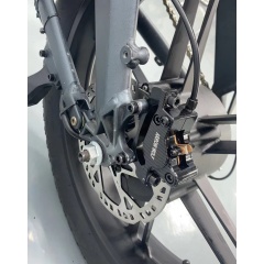 OEM 750W 1000W High Capacity Lithium ion Battery Electric Bicycle 20x4.0 Fat Tire Ebike Full Suspension E Dirt Bike