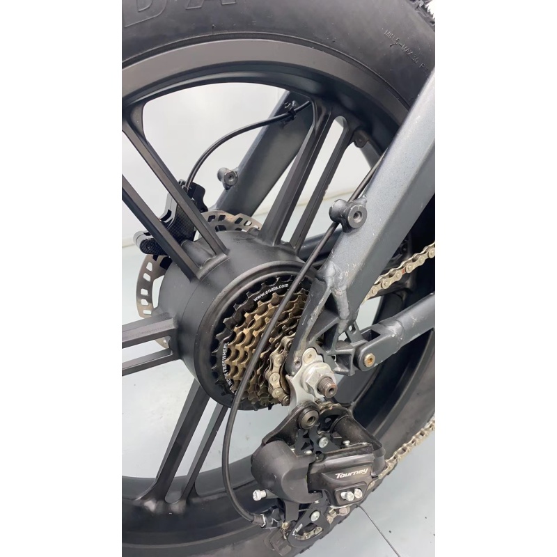 OEM 750W 1000W High Capacity Lithium ion Battery Electric Bicycle 20x4.0 Fat Tire Ebike Full Suspension E Dirt Bike