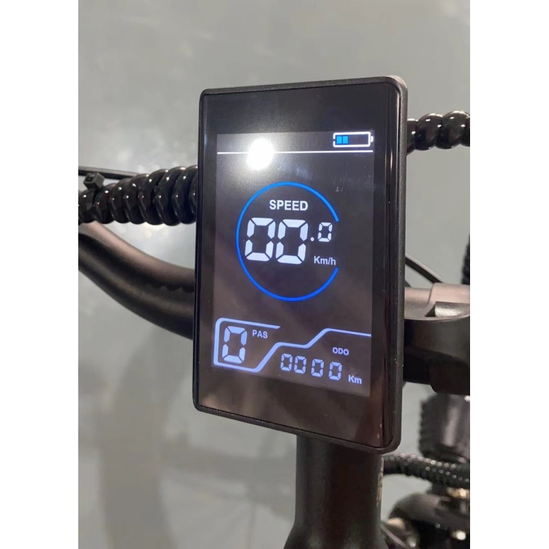 OEM 750W 1000W High Capacity Lithium ion Battery Electric Bicycle 20x4.0 Fat Tire Ebike Full Suspension E Dirt Bike