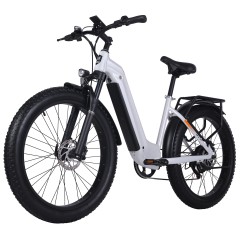 Cheap Unisex 26x3.0 Fat Tire Electric Bike EU Warehouse 48V 500W Bafang Motor E-Bicycle Better Than Other Electric Bike