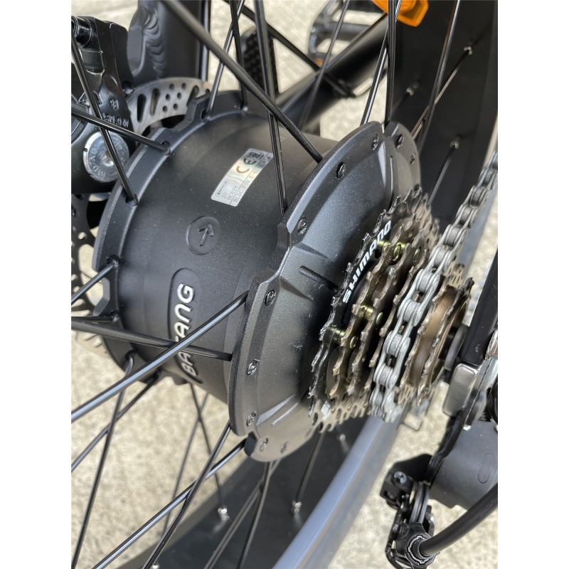 High Speed Electric Bike Bafang 1000W 52V Dolphin Battery Long Range Robust Ebike  With Basket Surf Rack