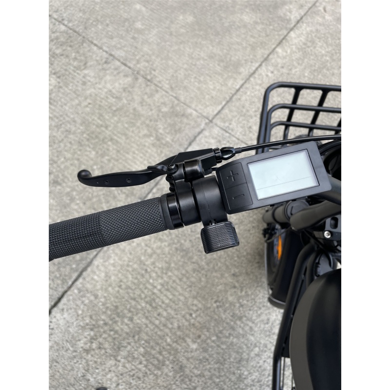 High Speed Electric Bike Bafang 1000W 52V Dolphin Battery Long Range Robust Ebike  With Basket Surf Rack