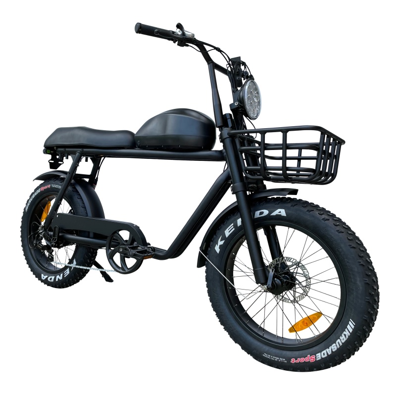 High Speed Electric Bike Bafang 1000W 52V Dolphin Battery Long Range Robust Ebike  With Basket Surf Rack