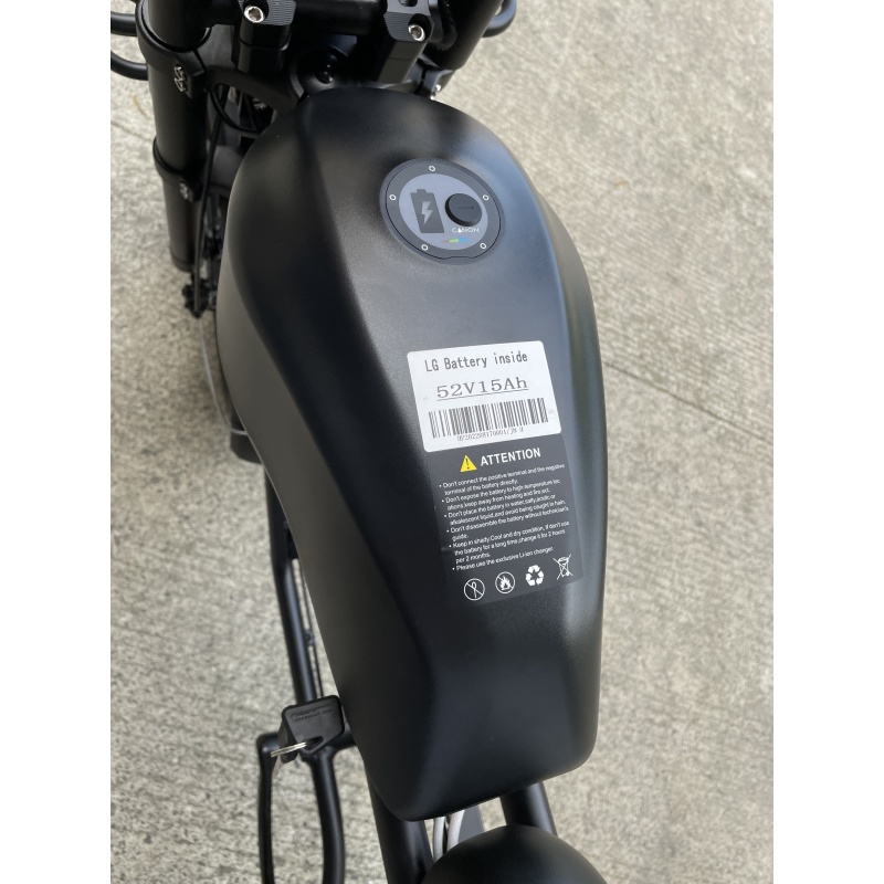 High Speed Electric Bike Bafang 1000W 52V Dolphin Battery Long Range Robust Ebike  With Basket Surf Rack