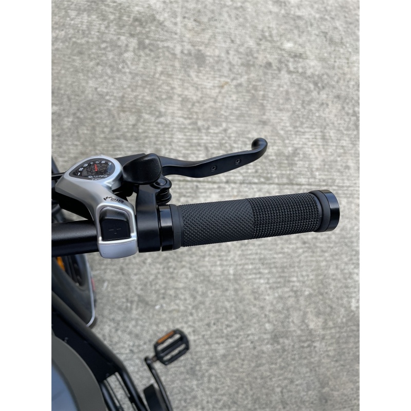 High Speed Electric Bike Bafang 1000W 52V Dolphin Battery Long Range Robust Ebike  With Basket Surf Rack