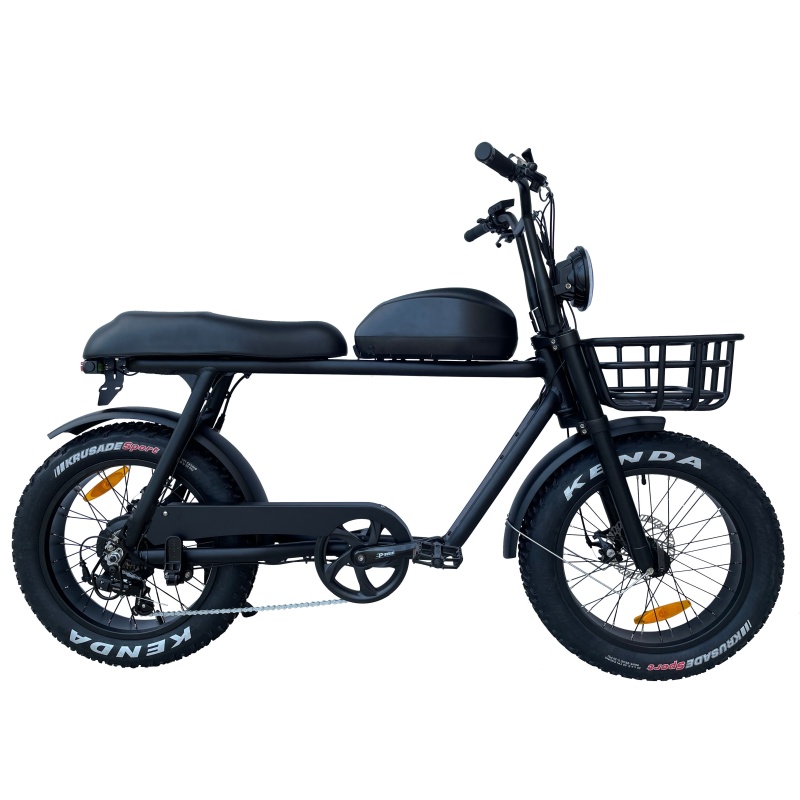 High Speed Electric Bike Bafang 1000W 52V Dolphin Battery Long Range Robust Ebike  With Basket Surf Rack