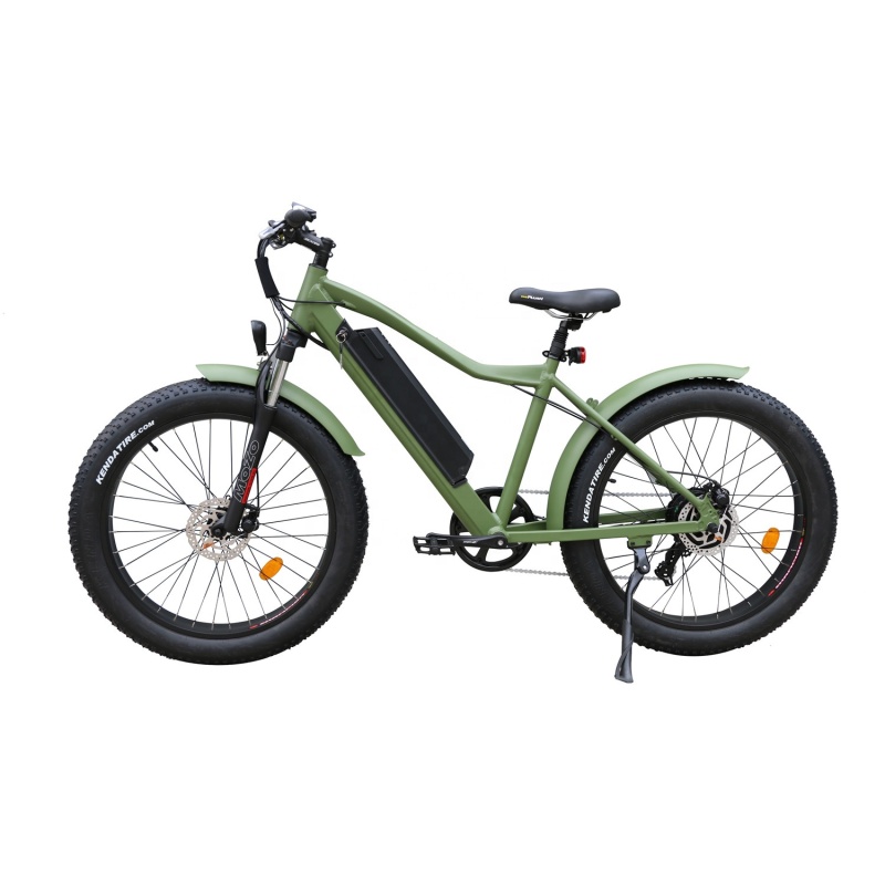 Hot Sales EN15194 E Bike 48V 250W Fat Tire Electric Bike E-Bike With 26x4.0 Tires Fat Bike Electric