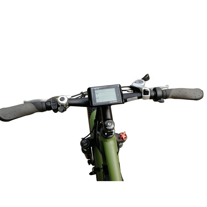 Hot Sales EN15194 E Bike 48V 250W Fat Tire Electric Bike E-Bike With 26x4.0 Tires Fat Bike Electric