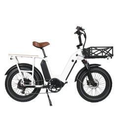 Hot Sales Fat Tire 48V 750W Electric Cargo Bike Double 2 Battery Long Range Family Utility Electric Bike
