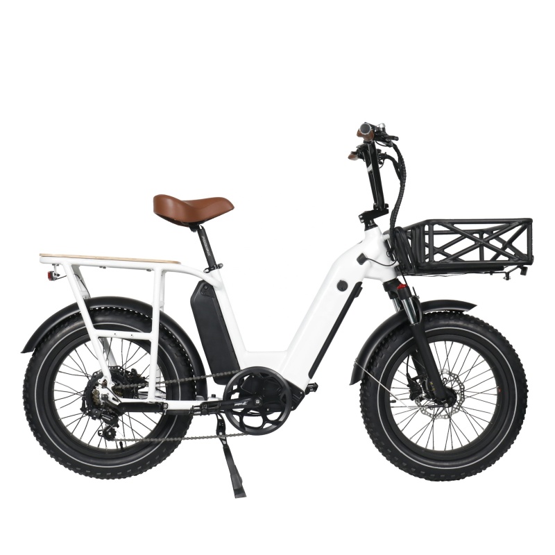 Hot Sales Fat Tire 48V 750W Electric Cargo Bike Double 2 Battery Long Range Family Utility Electric Bike