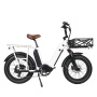 Hot Sales Fat Tire 48V 750W Electric Cargo Bike Double 2 Battery Long Range Family Utility Electric Bike