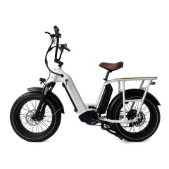 Hot Sales Fat Tire 48V 750W Electric Cargo Bike Double 2 Battery Long Range Family Utility Electric Bike