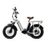 Hot Sales Fat Tire 48V 750W Electric Cargo Bike Double 2 Battery Long Range Family Utility Electric Bike