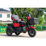 Cheap Price 60V Electric Cargo Tricycle 3 Wheel Electric Scooter 600W 800W Three Wheel Motorcycle  With EEC/COC Certificates