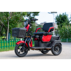 Cheap Price 60V Electric Cargo Tricycle 3 Wheel Electric Scooter 600W 800W Three Wheel Motorcycle  With EEC/COC Certificates