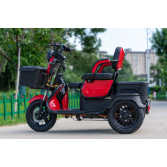 Cheap Price 60V Electric Cargo Tricycle 3 Wheel Electric Scooter 600W 800W Three Wheel Motorcycle  With EEC/COC Certificates