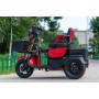 Cheap Price 60V Electric Cargo Tricycle 3 Wheel Electric Scooter 600W 800W Three Wheel Motorcycle  With EEC/COC Certificates