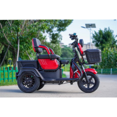 Cheap Price 60V Electric Cargo Tricycle 3 Wheel Electric Scooter 600W 800W Three Wheel Motorcycle  With EEC/COC Certificates