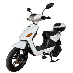 Exquisite 500W 48V Electric Scooter Pedal Assist Two-Wheel Disk Brake Quad Bike with Lithium Battery for Adults Streetbike Type