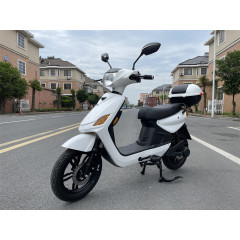 Exquisite 500W 48V Electric Scooter Pedal Assist Two-Wheel Disk Brake Quad Bike with Lithium Battery for Adults Streetbike Type